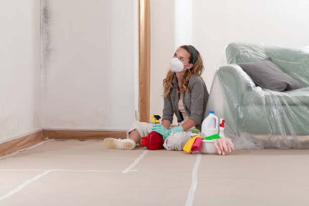 Reliable Mold Remediation contractor in Garland, TX by Mold Remediation HQ